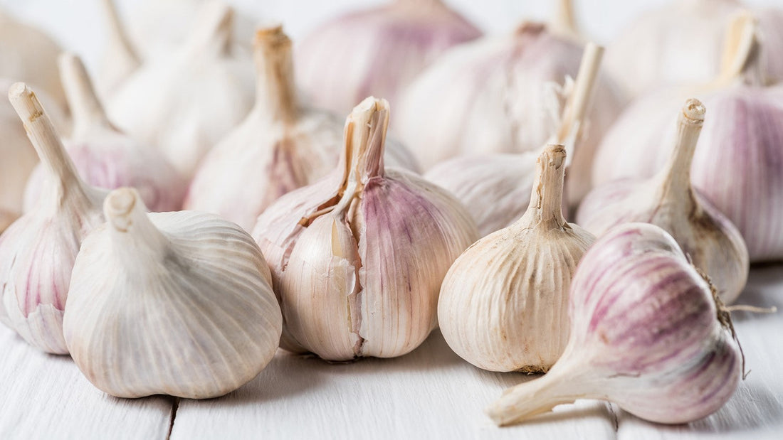 Czosnek: Podstawa Aromatów w Kuchni Świata